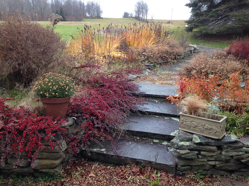 Bluestone steps lined with fall colors lead up to a path.